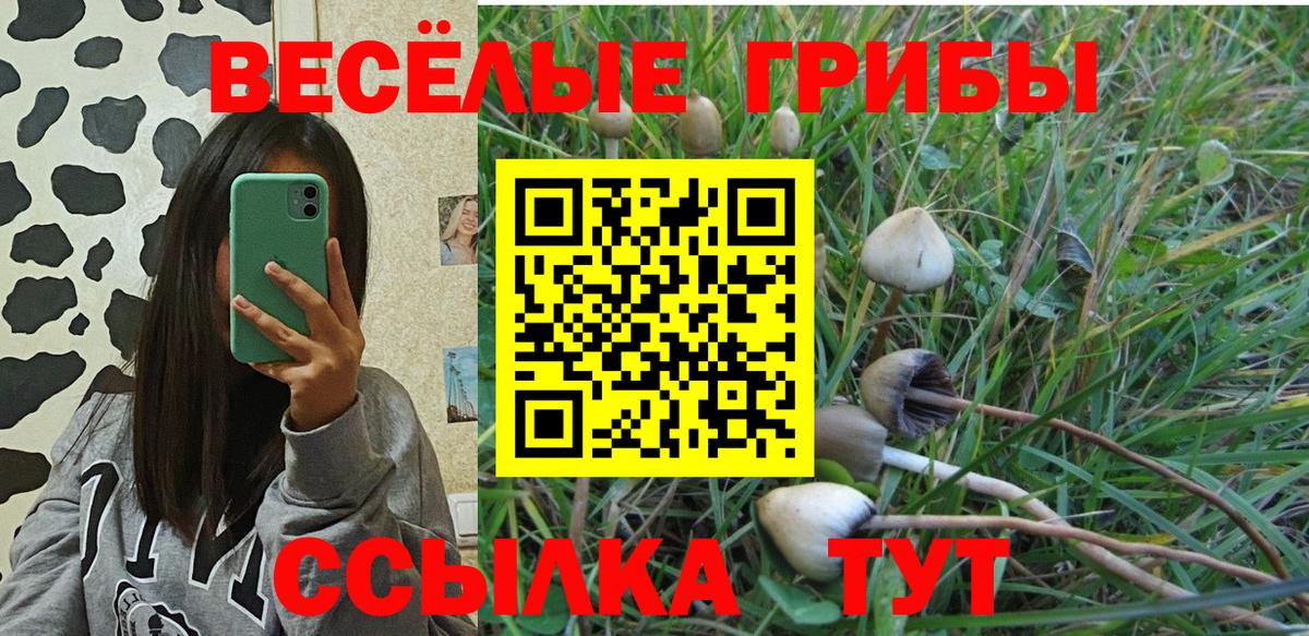 Нижний Новгород  Псилоцибиновые грибы MAGIC MUSHROOMS  Вход с VPN 