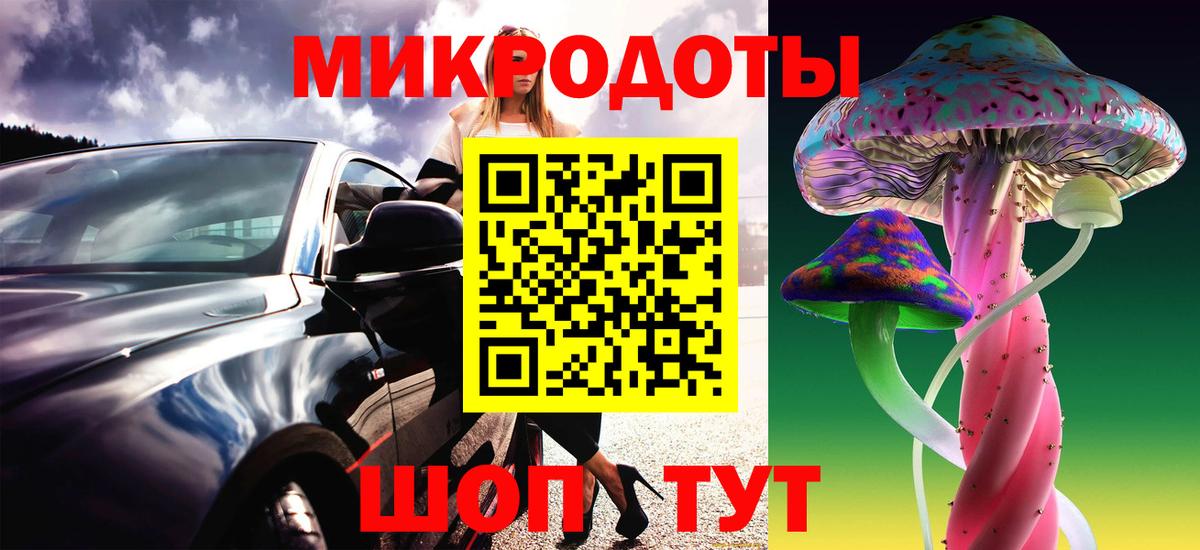Псилоцибиновые грибы Cubensis Нижний Новгород